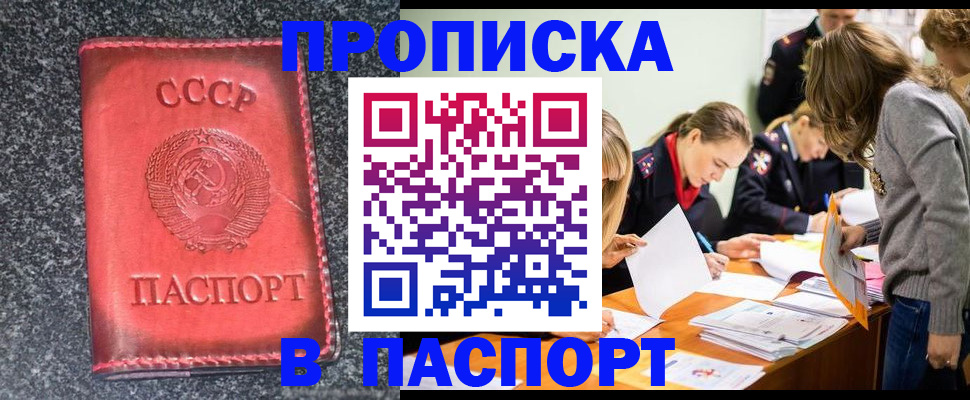 прописка для школы в Новомичуринске